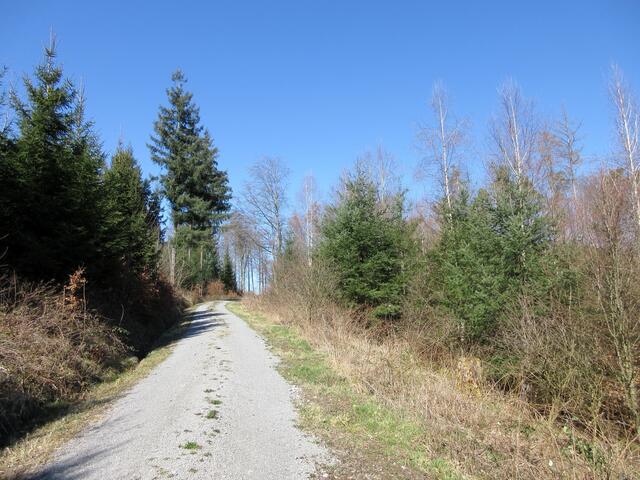 Ein Stück weiter freie Flächen, Sonnenschein und ein völlig anders Bild. Nur der kalte Wind war etwas unangenehm.