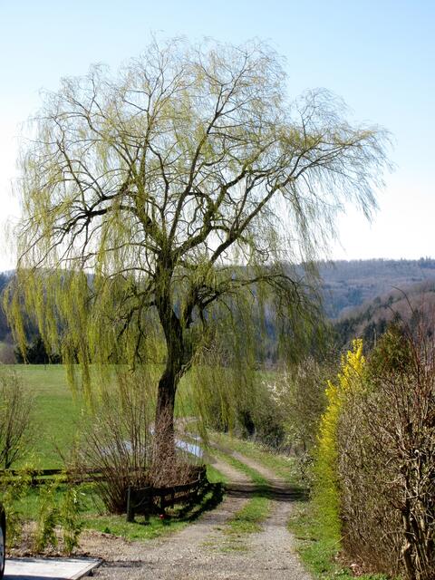 Schmellenhof, Richtung Stangenbach