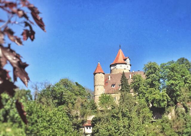 Im Schatten der Burg