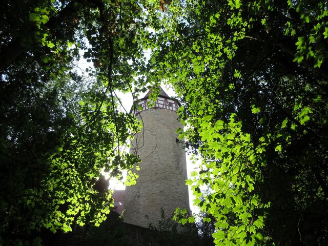 Turm in Grün