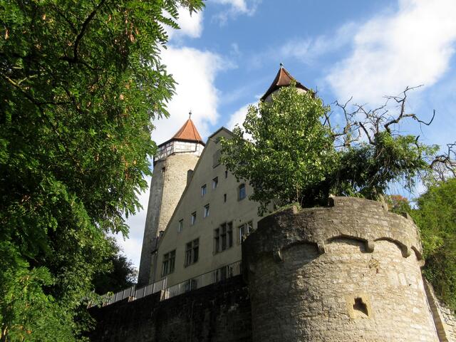 Burg