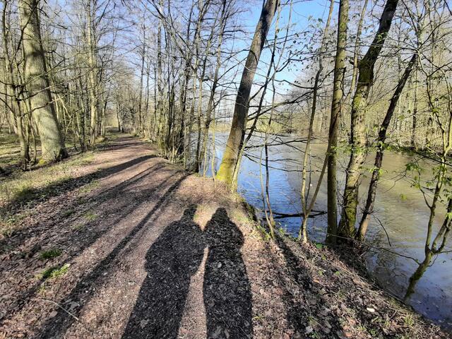Spaziergang am Waldsee
