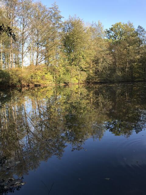 Waldsee Brettach - Der Herbst grüßt von seiner schönsten Seite