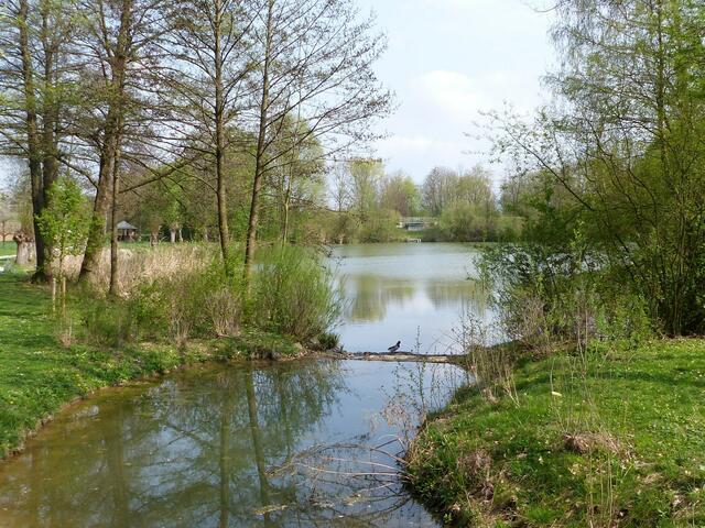 der Mühlbachsee aus anderer Perspektive