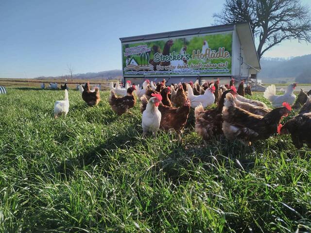 Mobiler Hühnerstall, Landwirtschaftlicher Betrieb Strecker (Untereppach)