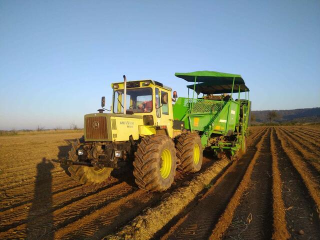 Kartoffelernte Herbst 2019, landwirtschaftlicher Betrieb Strecker (Untereppach)