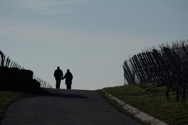 Spaziergang aus dem Scheuerberg