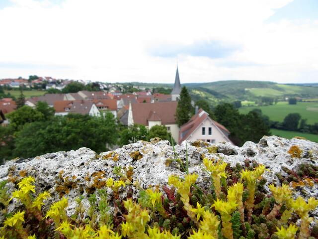 Eine von Pflanzen verschönerte Burgmauer und der Blick auf die Gemeinde: Dieses tolle Foto von Krautheim hat die Gruppe Wandern mit d'r Gaby un em Erich gemacht. | Foto: Wandern mit d'r Gaby un em Erich