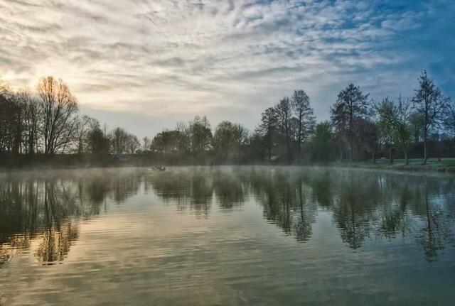 Morgennebel über dem See