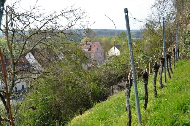 Klingenberg - Blick auf das Bürgeramt