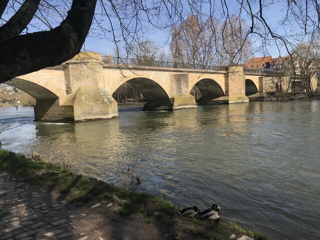 Alte Neckarbrücke im Morgenlicht