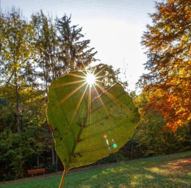 Schlosspark Neuenstein