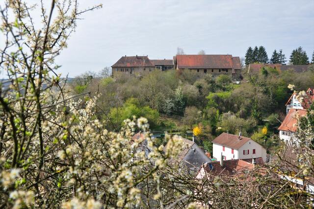 Neippergsche Schloss Kingenberg von der anderen Seite