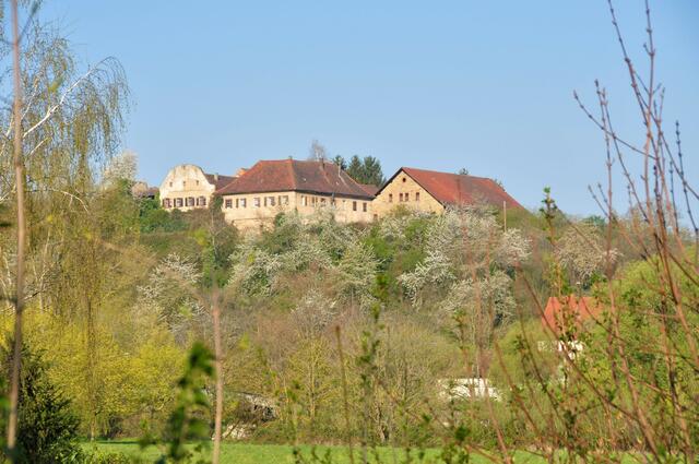 Neippergsche Schloss Kingenberg; Sicht von Horkheim