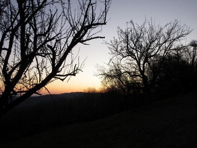 Aber gerade so ein Sonnenaufgang ist ein ganz besonderes Erlebnis. Begleitet vom Gesang der Vögel. Ganz wunderbar.