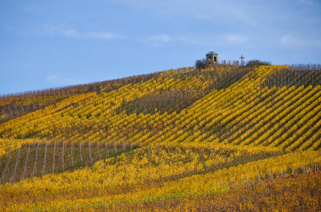 Sontheimer Staufenberg im Herbst