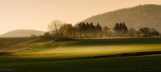 Licht und Schatten, wenn die Sonne aufgeht ...