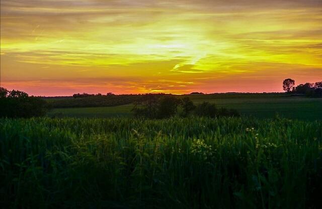 Sonnenuntergang bei Wohlmuthausen