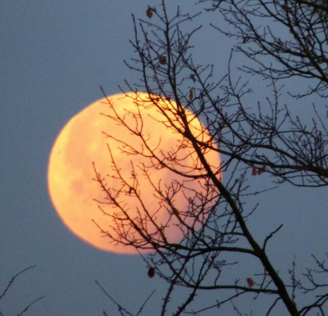 Im Gegenlicht des Mondes