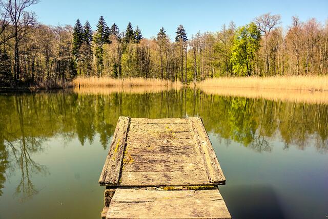 See hinter dem Schleierhofer See