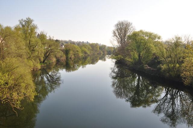 Neckar bei Klingenberg