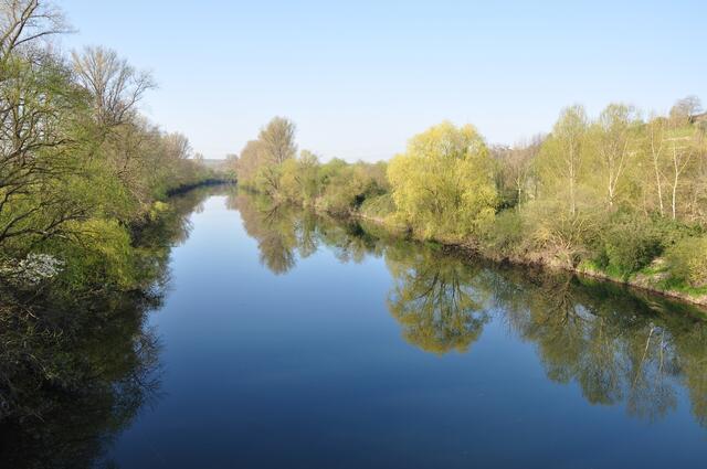 Neckar am Morgen bei Klingenberg