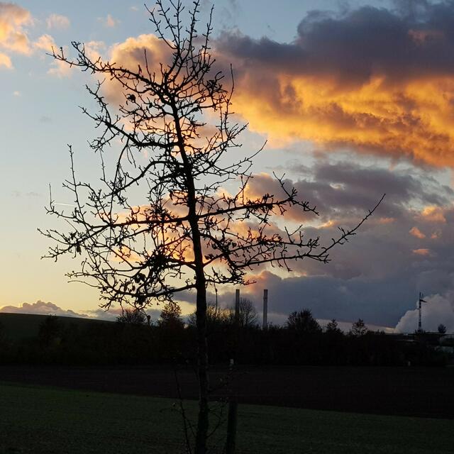 zwischen Binswangen und Neckarsulm