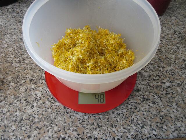 Schlussendlich hatte ich von den 3-4 Händen voll Blütenköpfen gerade mal 48 g Blüten übrig. Mich hat das interessiert, da ich so vage Angaben in Rezepten nicht mag. Große oder kleine Hände??? 3 - 4??? Wieviel ist da nun? Aber die knapp 50 g haben einen guten Geschmack ergeben.