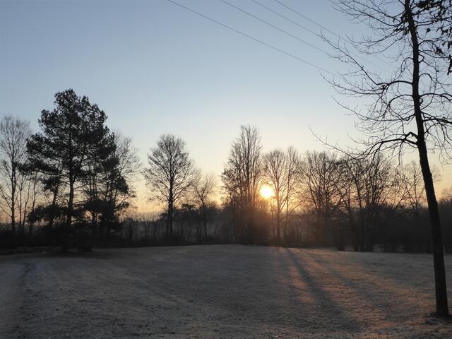 Sonnenaufgang im Westfriedhof Böckingen