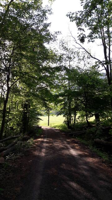 Der Weg ist das Ziel / bei Pfaffenhofen