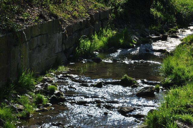 Der Deinenbach in Sontheim