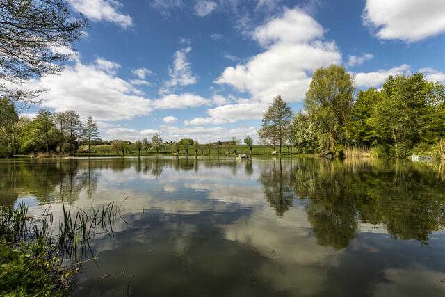 Am Ufer des Mühlbachsee's