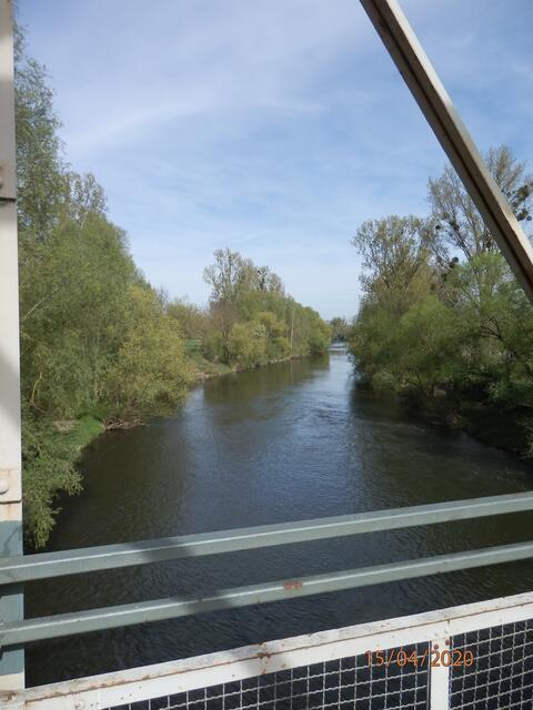 Blick vom Steg auf den Neckar