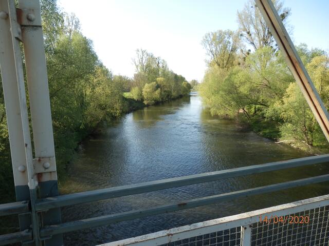 Blick vom Steg auf den Neckar