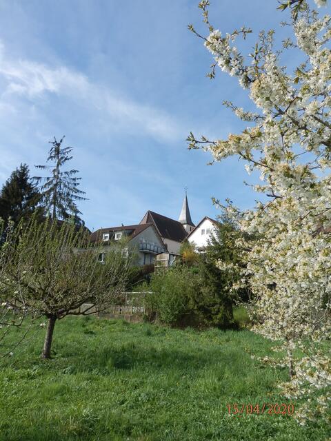 Blick von der Neckaraue