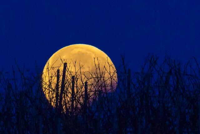 Blutmond über'm Weinberg