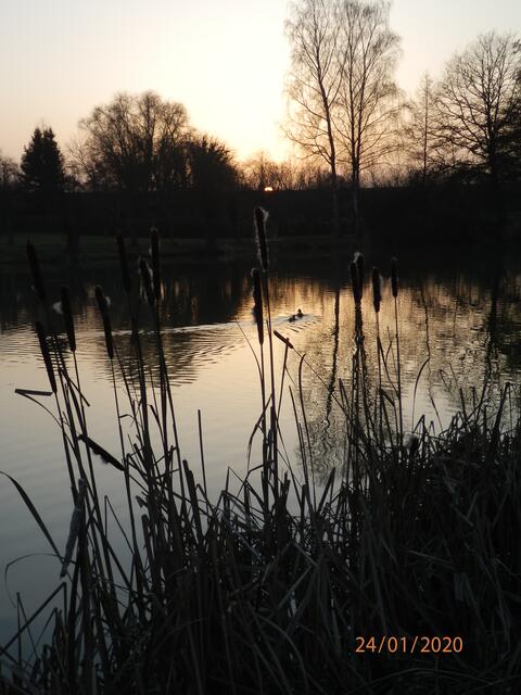 Abendstimmung am Mühlbachsee