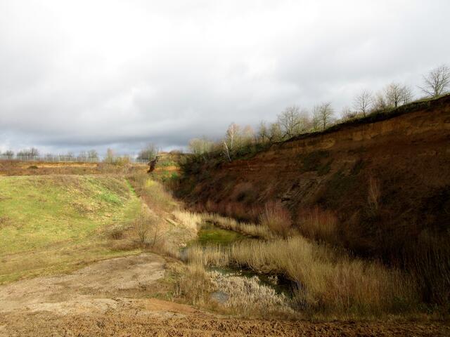Frankenbacher Schotter, Naturschutzgebiet, zu wenig bekannt.