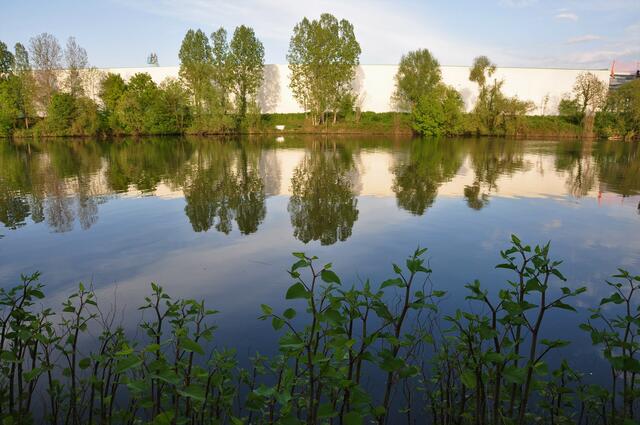 Neckar Abendspiegelung, Neckargartach