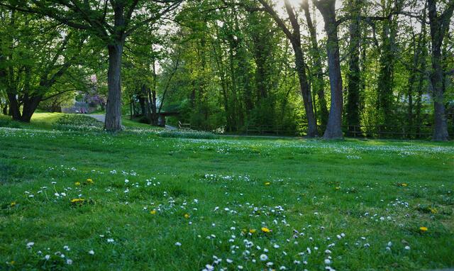 Leinbachpark, Neckargartach