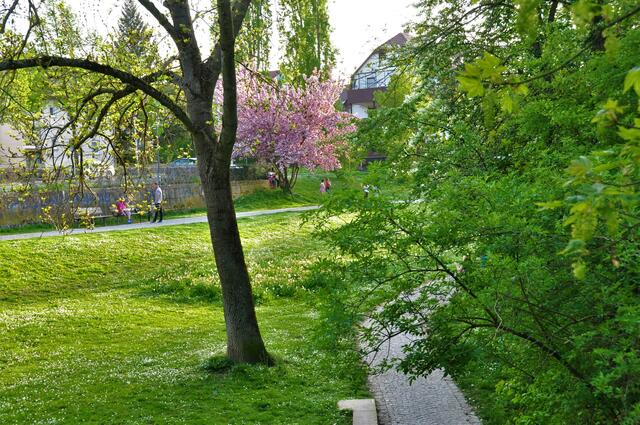 Abendstimmung im Leinbachpark, Neckargartach