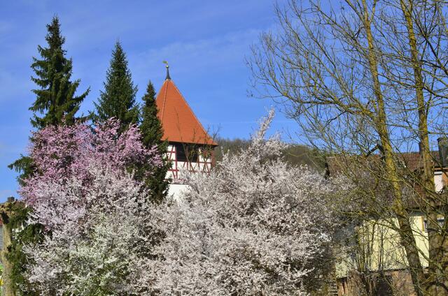 versteckt hinter Blüten, der Kirchturm der ev. Kirche