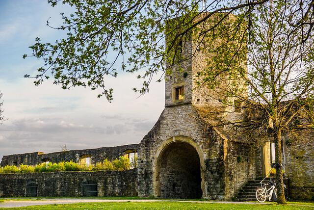 Ruine Forchtenberg