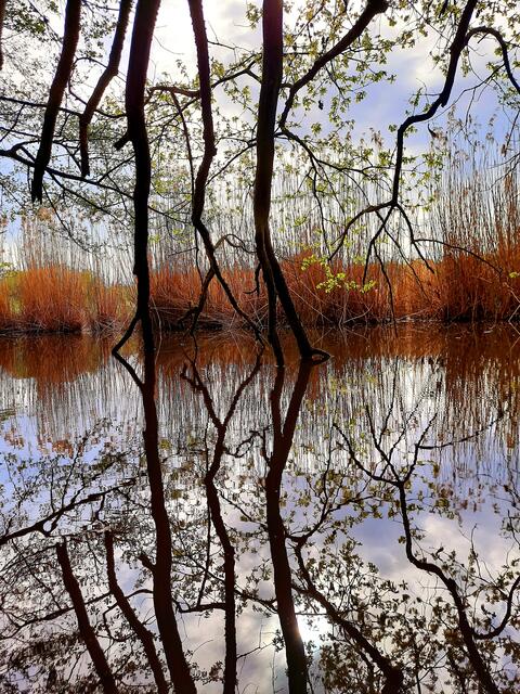 Licht und Schatten am Gleichener See