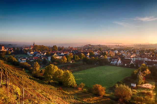 Lauffen im Herbst