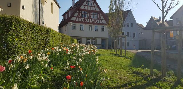 Altes Fachwerk Brückenstraße