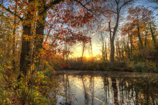 Sonnenuntergang am Seeloch im Herbst
