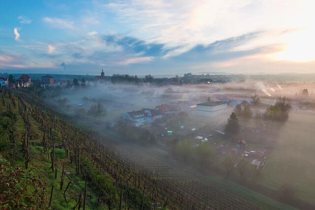 Morgenstimmung in Lauffen