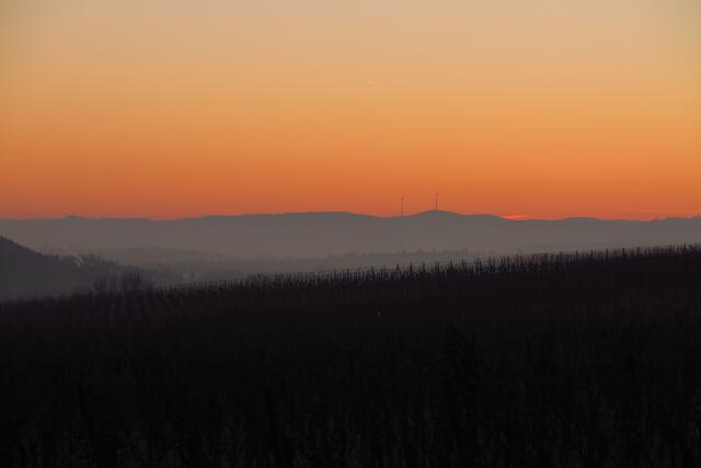Kurz vor dem Sonnenaufgang in den Weinbergen beim Wartberg.
