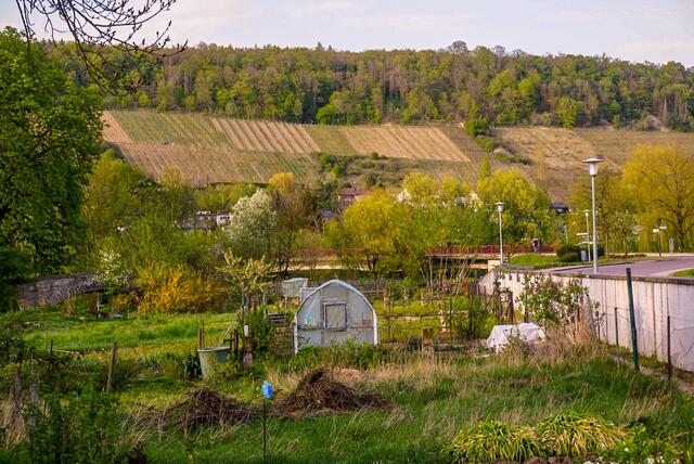 Schrebergärten Forchtenberg